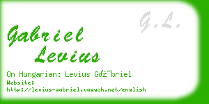 gabriel levius business card